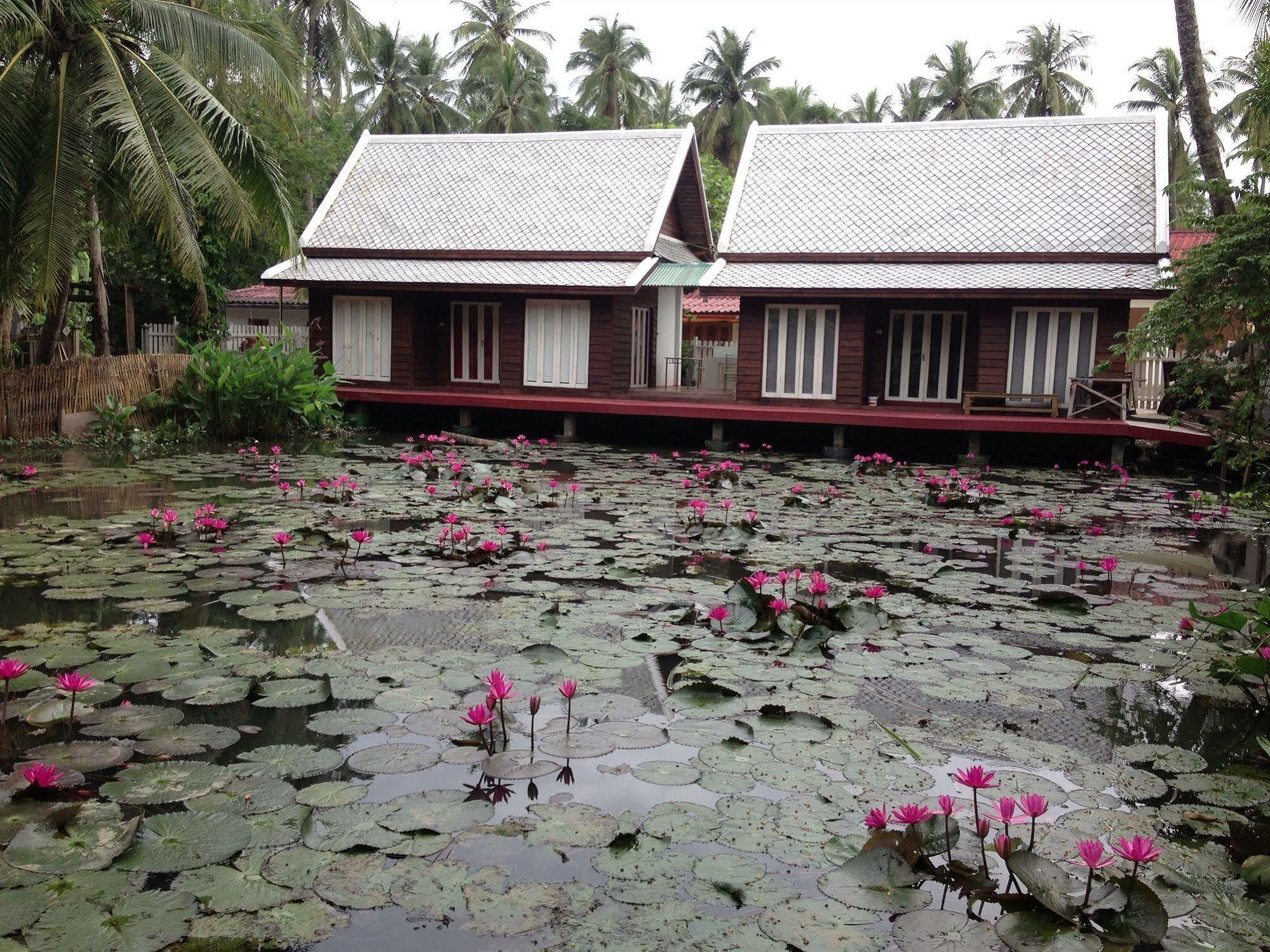 Luang Prabang Oasis Hotel Buitenkant foto